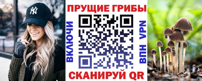 Псилоцибиновые грибы Cubensis  мориарти как зайти  блэк спрут зеркало  Тейково  как найти закладки 